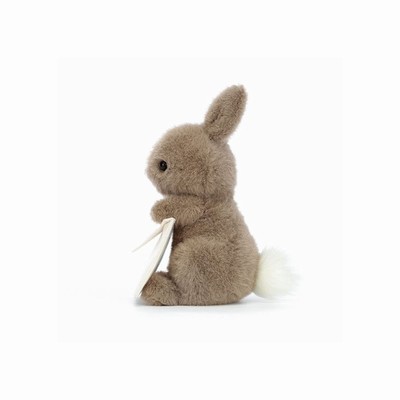 Jellycat Messenger Conejitos | ZQBI-68731